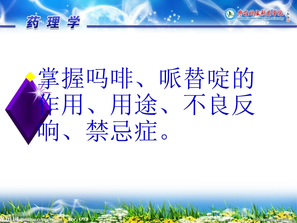 医理学课程常用镇痛药教学课件_第2页