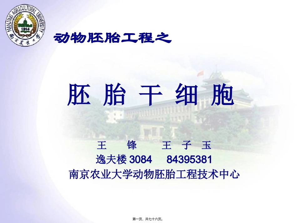 7新4ES胚胎干细胞_第1页