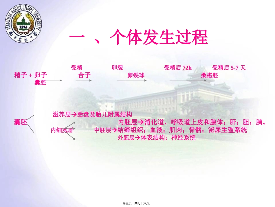 7新4ES胚胎干细胞_第3页