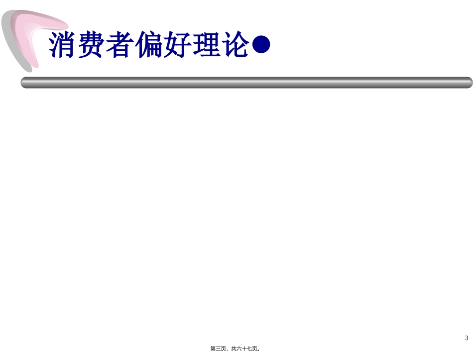 消费者选择及需求 讲座培训课件_第3页
