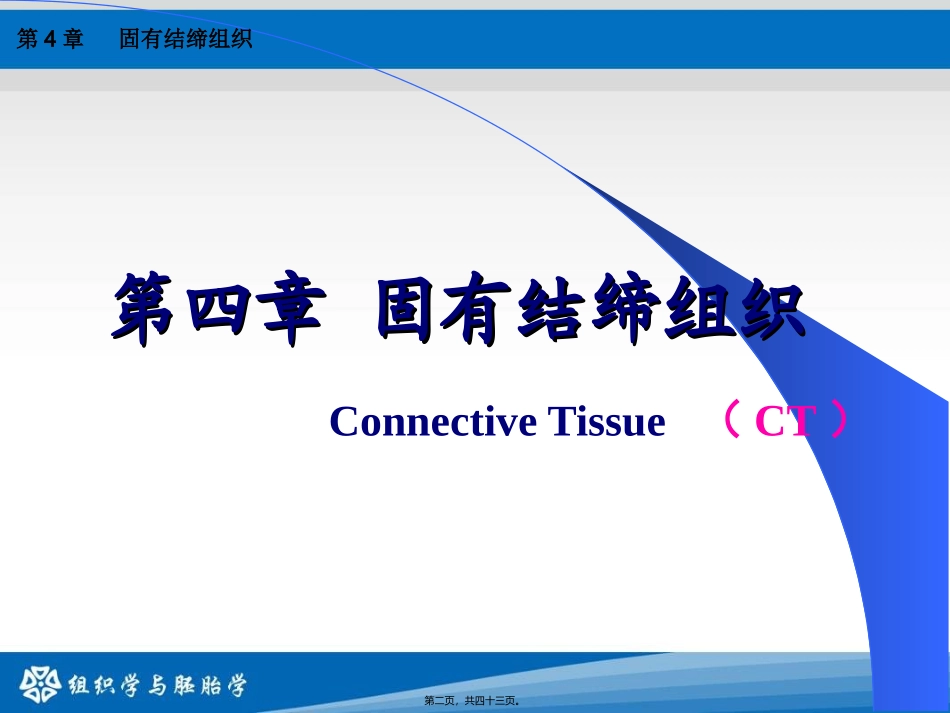 第4章：结缔组织 教学课件_第1页