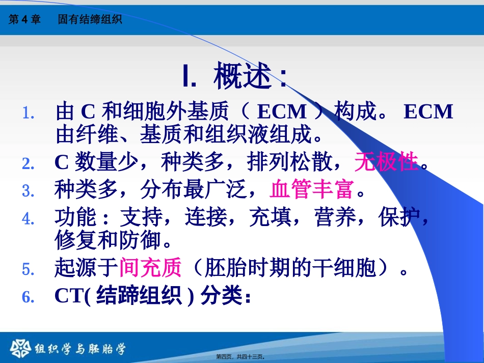 第4章：结缔组织 教学课件_第3页