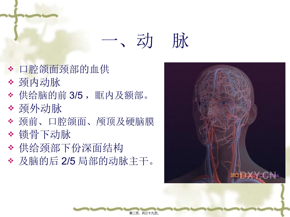 7血管淋巴神经_第2页