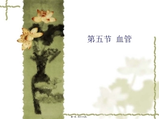7血管淋巴神经
