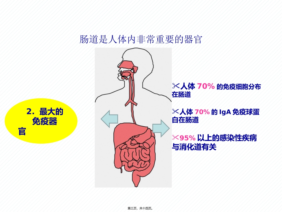 7月6日肠道健康科普讲稿_第3页