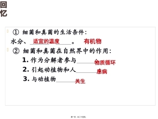 医学教学培训课件 第五节人类对细菌和真菌的利用