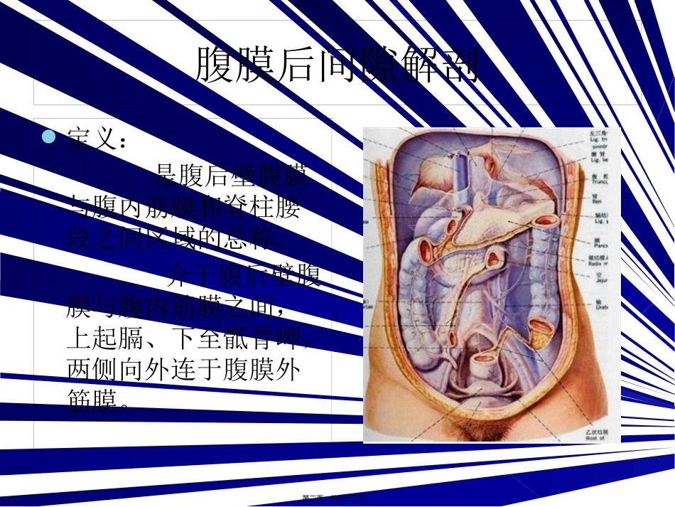 腹膜后间隙 医学教学培训课件_第2页