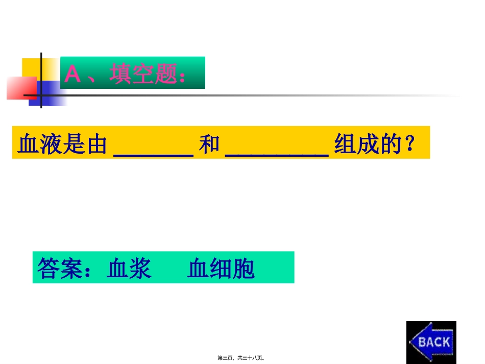 血流的管道——血管 医学教学课件_第3页