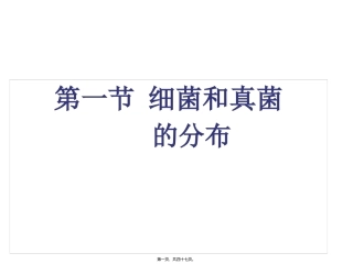 医学课件 细菌和真菌的分布