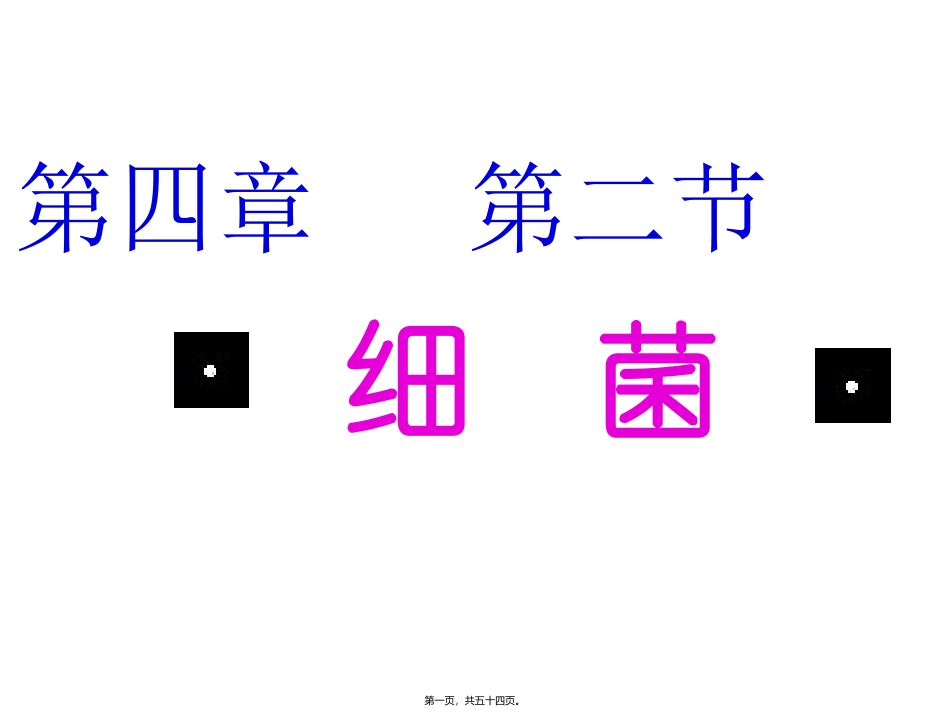 医学课件第四章第二节细菌_第1页