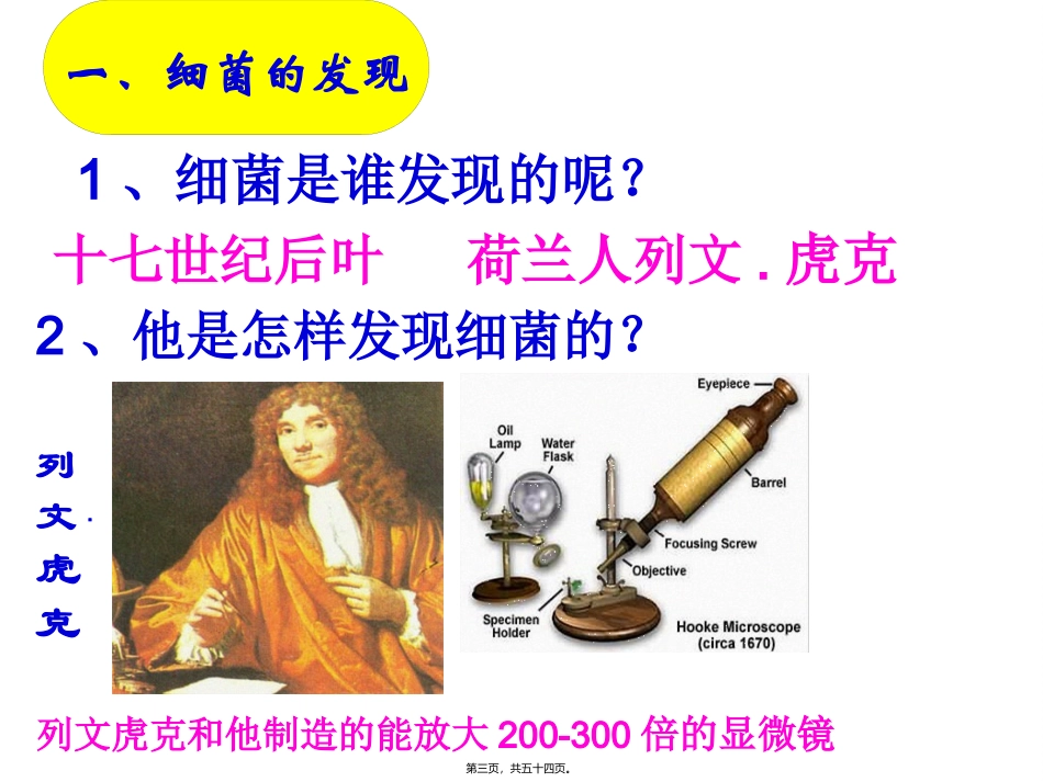 医学课件第四章第二节细菌_第3页