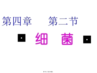 医学课件第四章第二节细菌