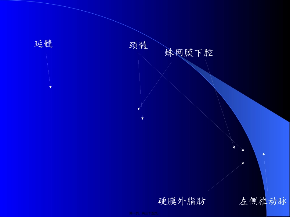 MRI图像-脑-01_第1页