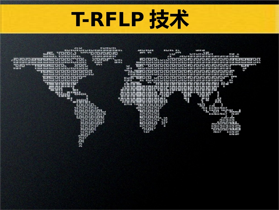 T-RFLP精讲_第1页
