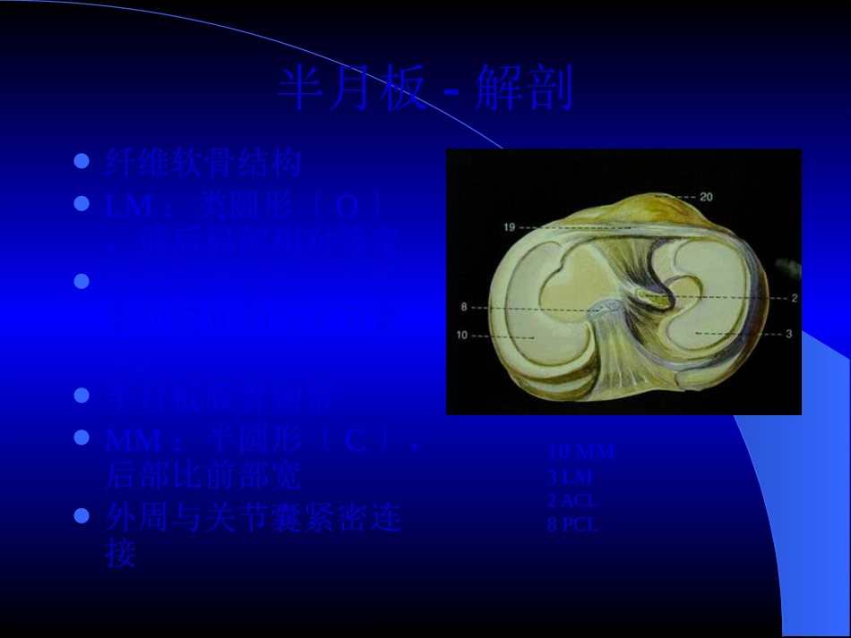 MRI膝关节_第3页