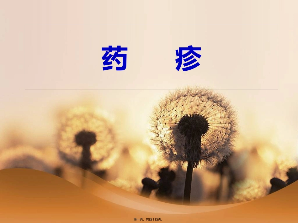 药疹 医学教学课件_第1页