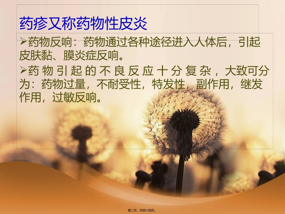 药疹 医学教学课件_第2页