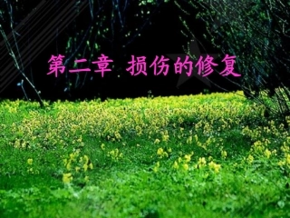 医学教学课件  第三讲-局部血液循环障碍