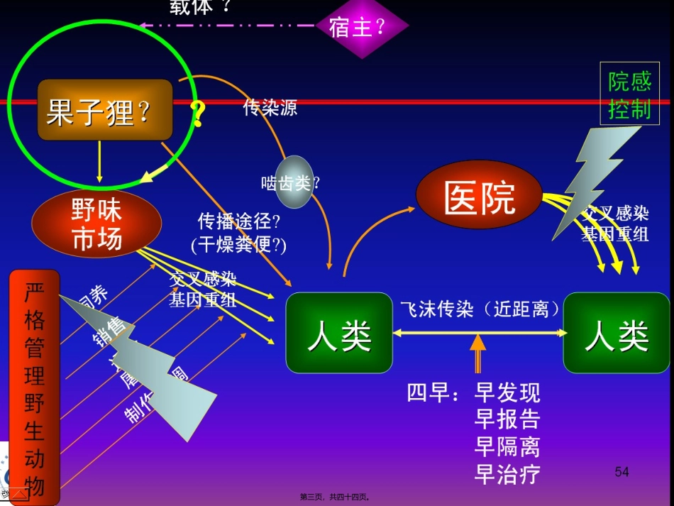 不明原因性肺炎幻灯片_第3页