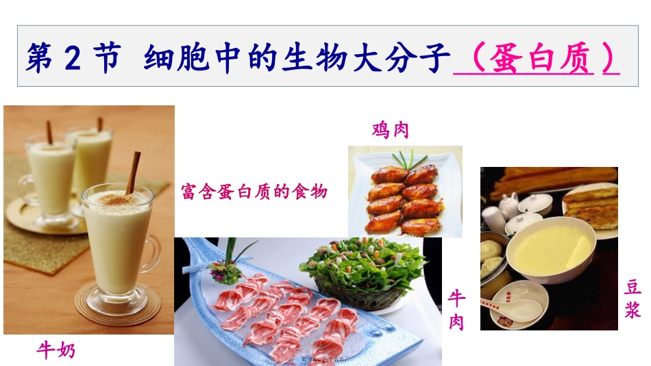 第2节-生命活动的主要承担者蛋白质_第1页