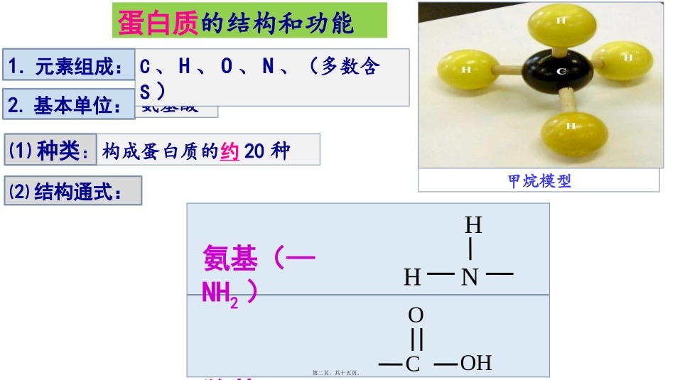 第2节-生命活动的主要承担者蛋白质_第2页