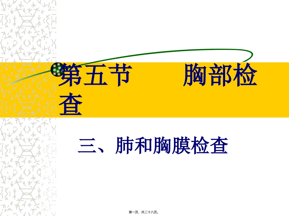 医学教学课件  第五节    胸部检查 肺和胸膜检查_第1页