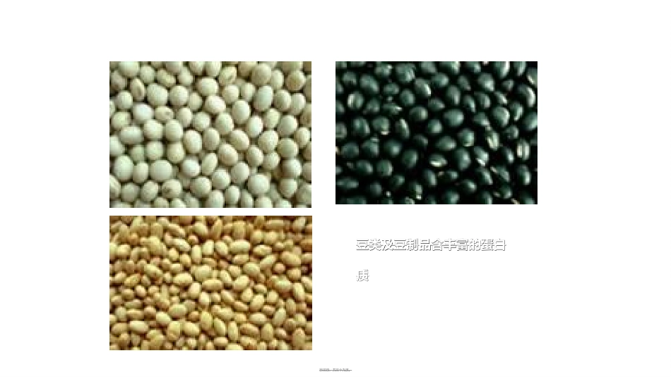 第2节-生命活动的主要承担者——蛋白质幻灯片_第3页