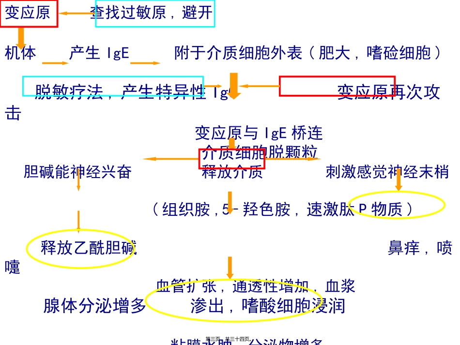 医学教学课件 鼻外伤出血过敏_第3页