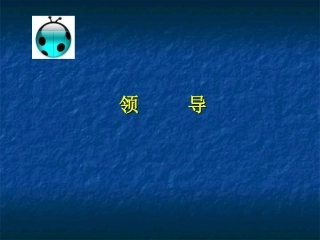 08-领导-激励-沟通