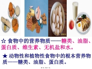 基本营养物质(必修2) 教学课件