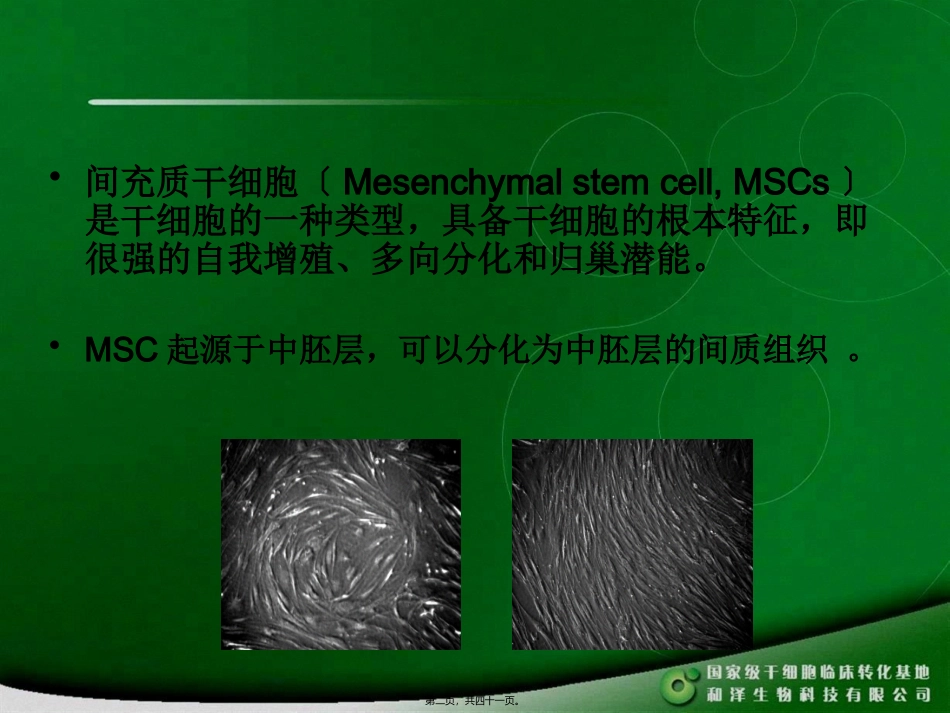 MSC干细胞_第2页