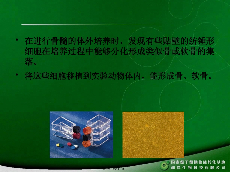 MSC干细胞_第3页
