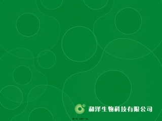 MSC干细胞