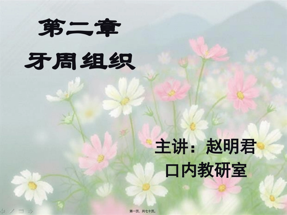 第2章-牙周组织_第1页