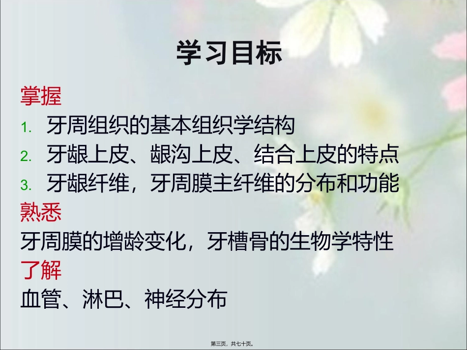 第2章-牙周组织_第3页