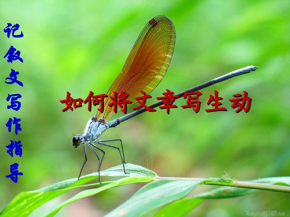 记叙文写作指导 生动完整地记叙一件事_第1页