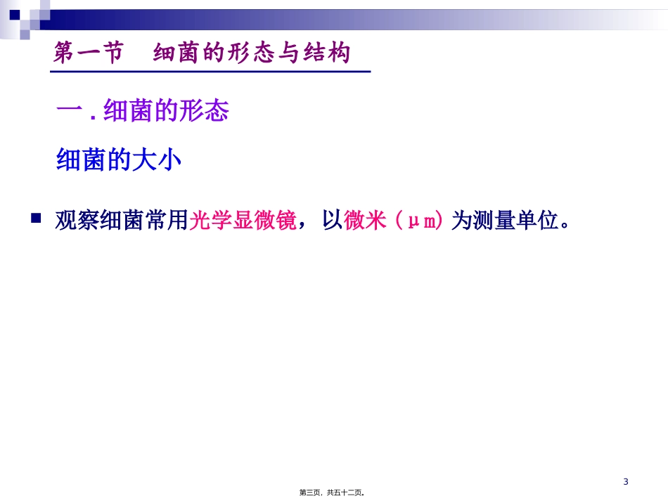 8(1)细菌的形态与结构_第3页