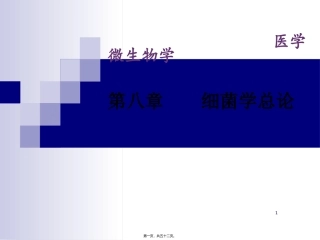 8(1)细菌的形态与结构