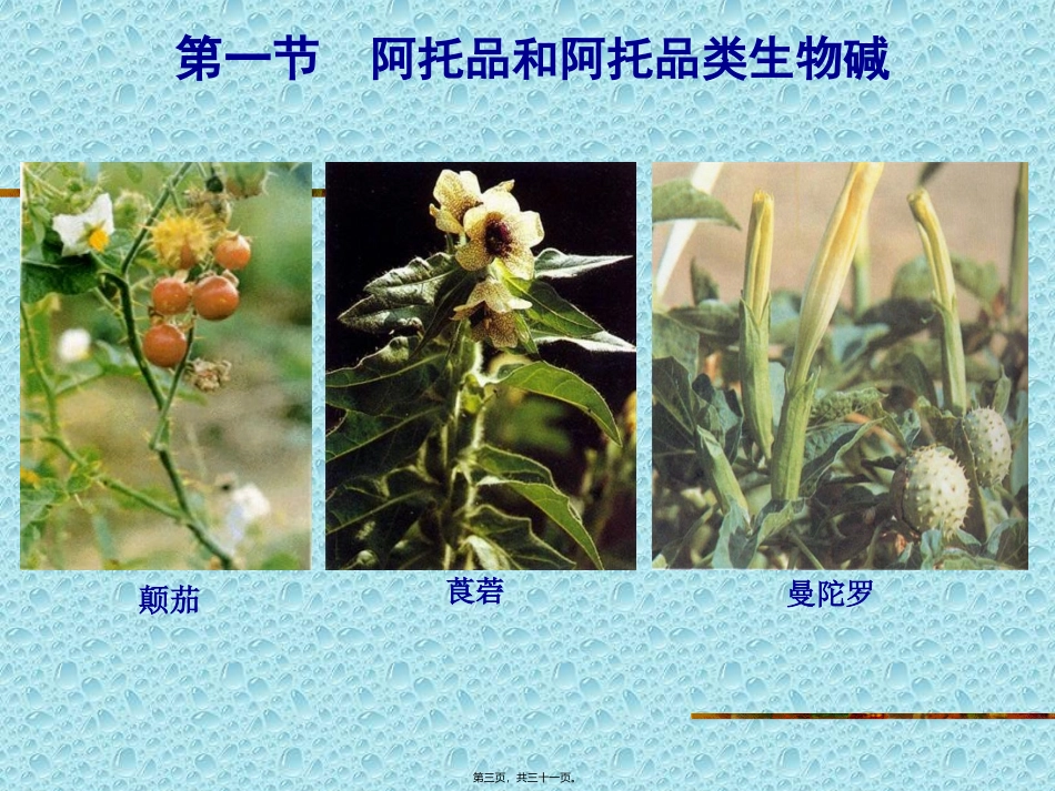 M胆碱受体阻断药(ZHT)_第3页