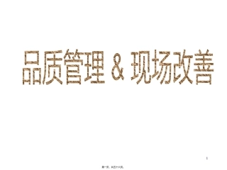 TS16949质量体系推广宣传册