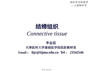 第03章结缔组织