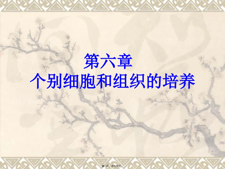 不同类型细胞的培养特点_第1页