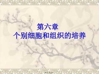 不同类型细胞的培养特点