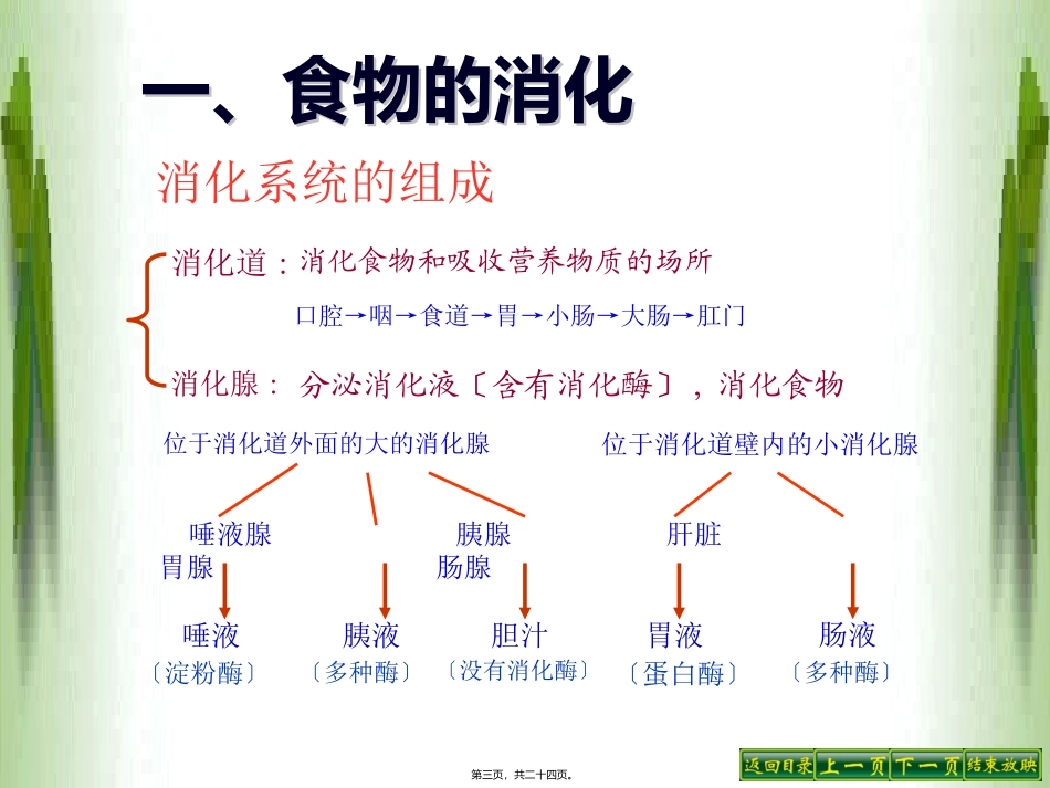 医学教学课件 第四单元第二章消化和吸收教程_第3页