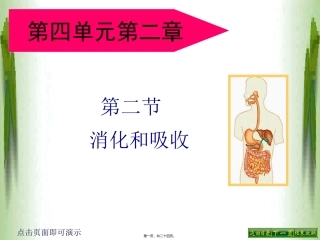 医学教学课件 第四单元第二章消化和吸收教程