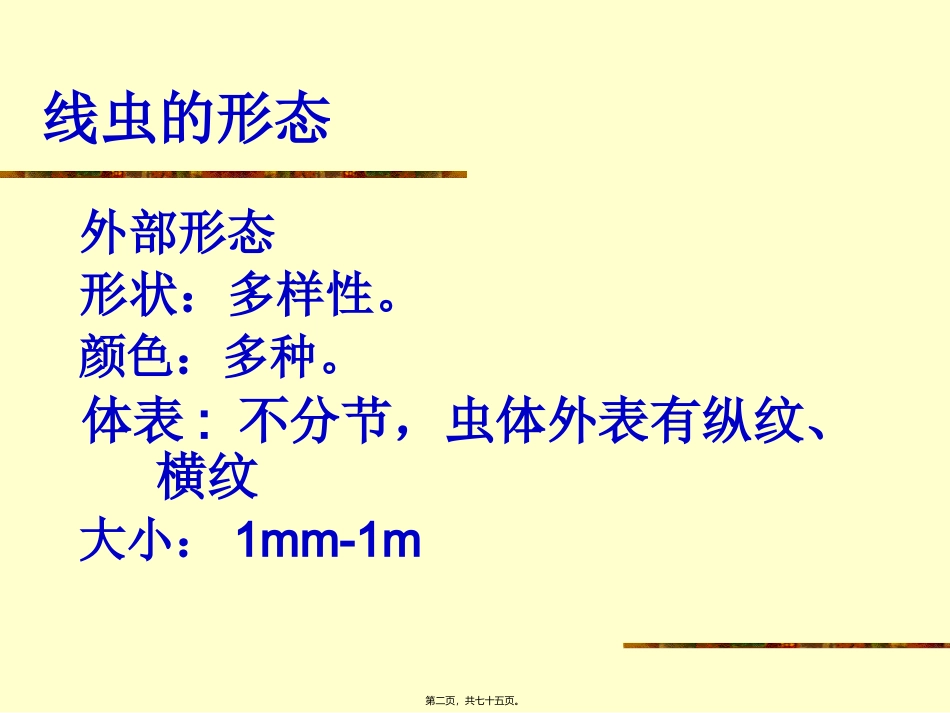 医学教学课件 第一节蛔虫病_第2页