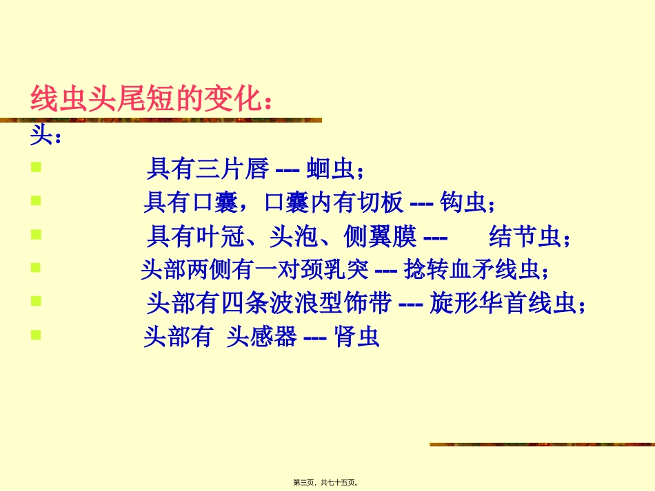 医学教学课件 第一节蛔虫病_第3页
