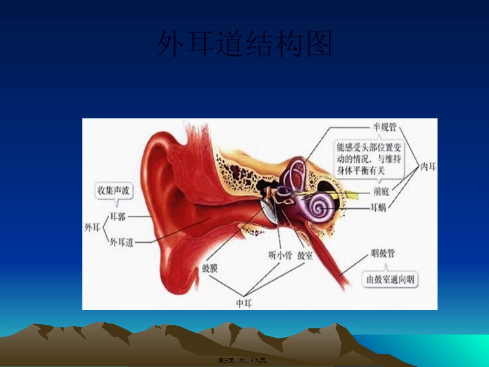 医学教学课件 儿童听力障碍剖析_第3页