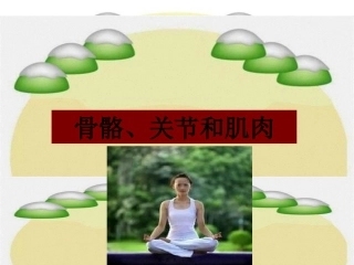 医学教学课件 骨骼、关节和肌肉