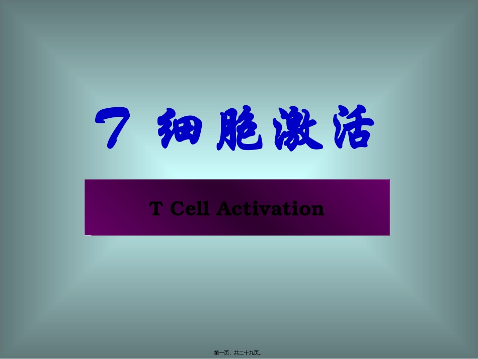 T-细胞激活_第1页